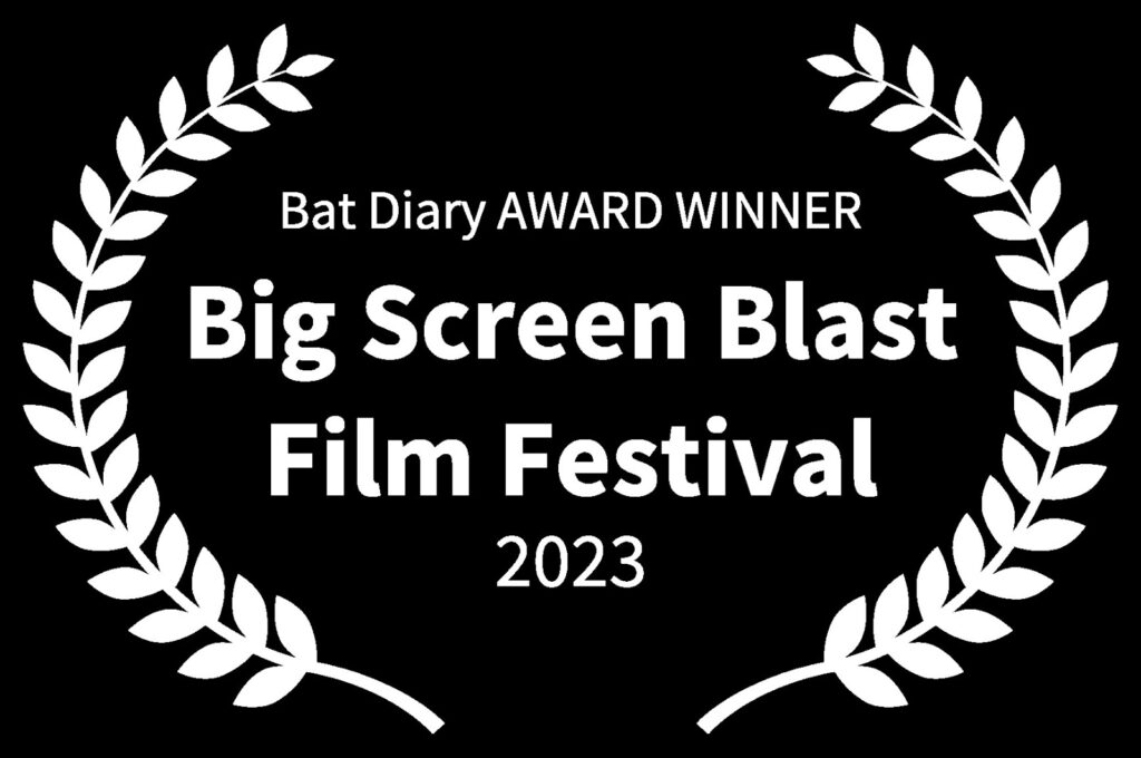 big screen blast film festival